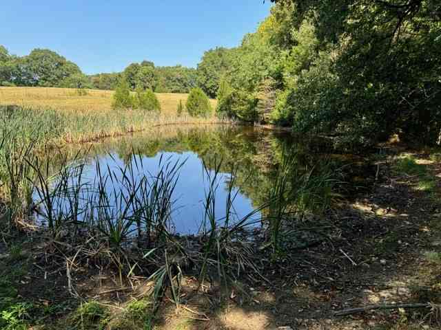 2236 Stone Hollow Rd, Cumberland Furnace, Tennessee image 10