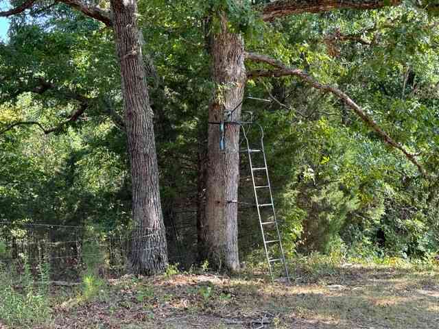 2236 Stone Hollow Rd, Cumberland Furnace, Tennessee image 23