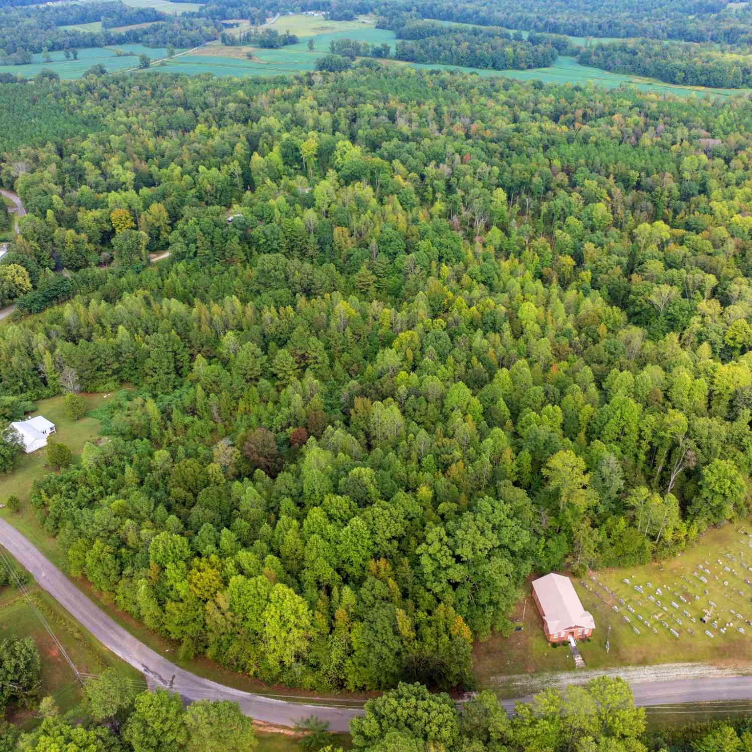 Coy Johnson Rd, Scotts Hill, Tennessee image 8