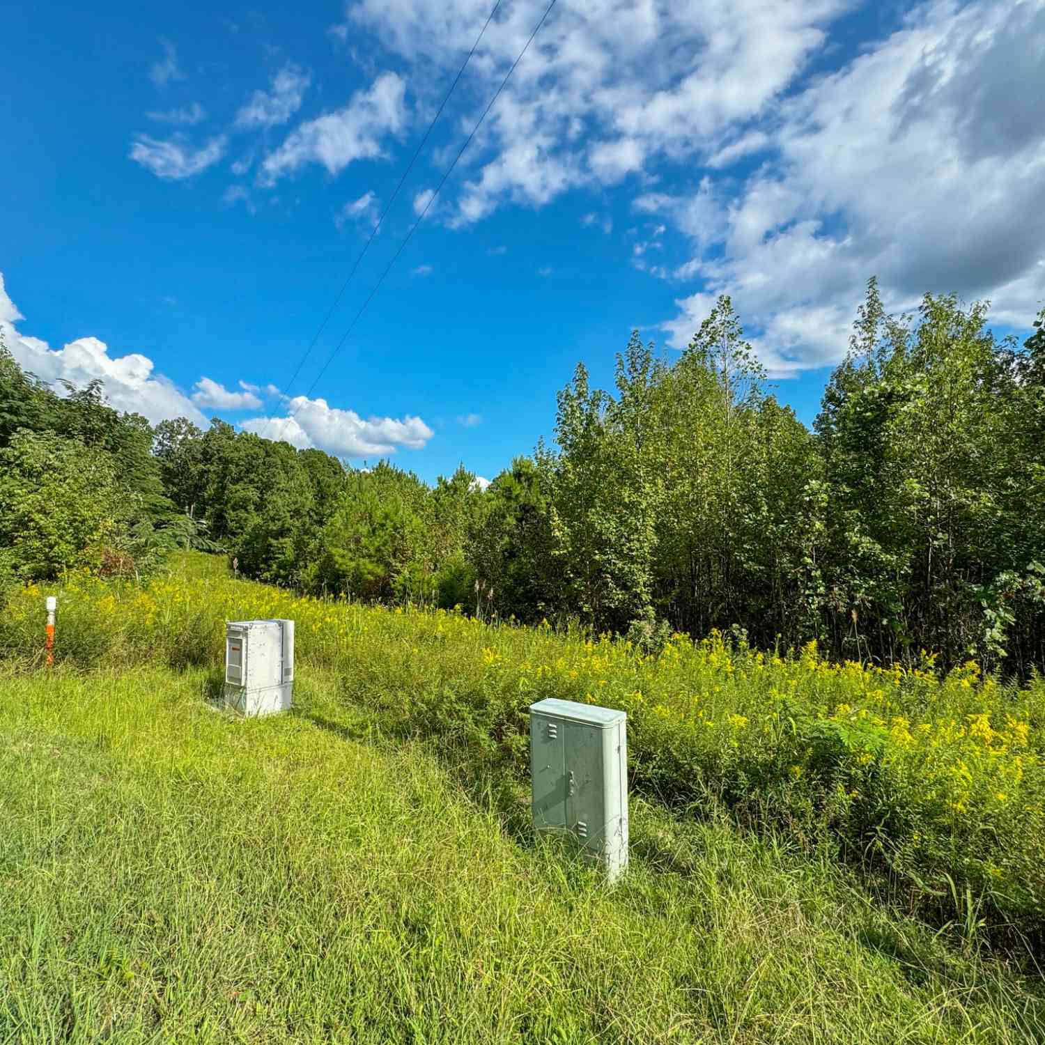 Coy Johnson Rd, Scotts Hill, Tennessee image 14