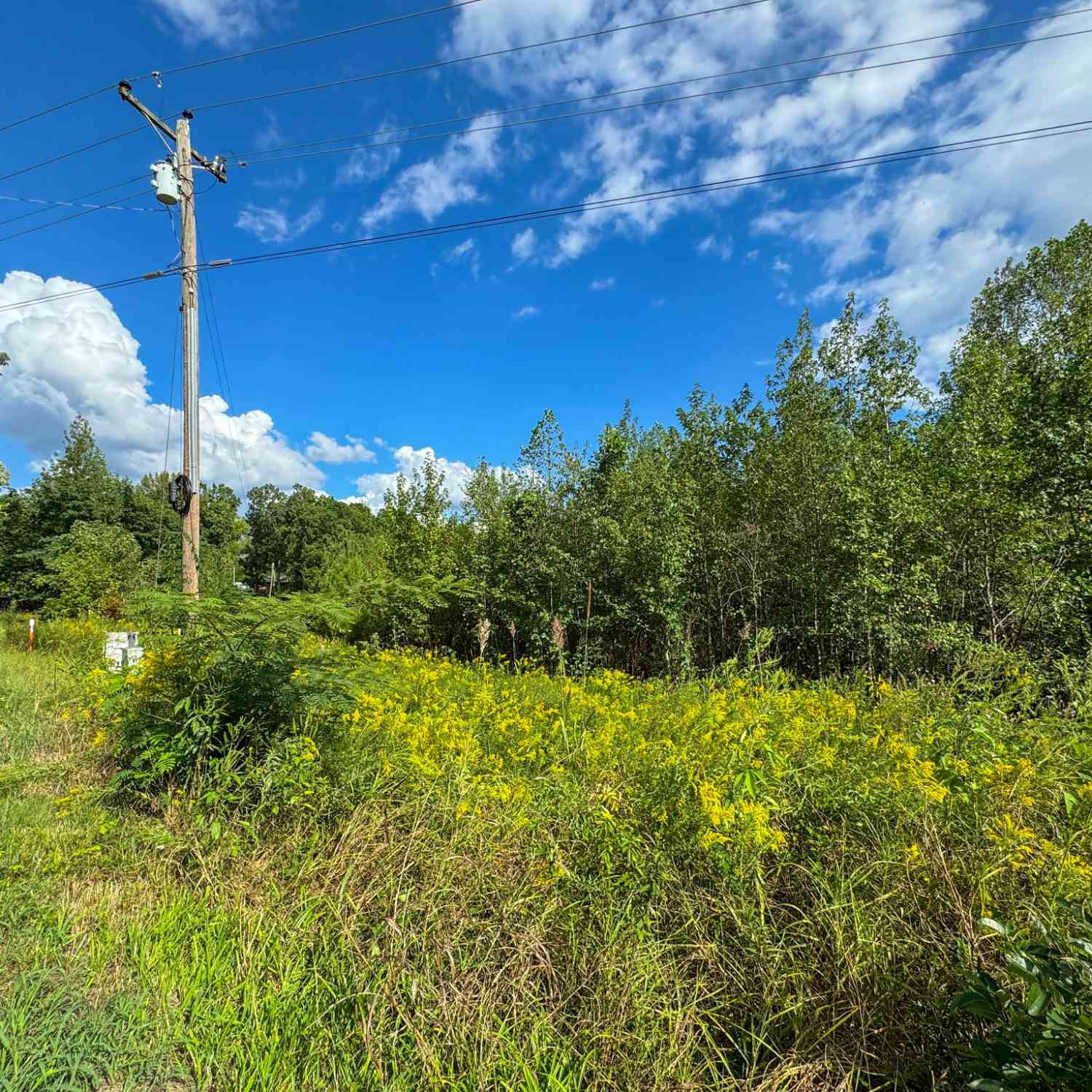 Coy Johnson Rd, Scotts Hill, Tennessee image 15