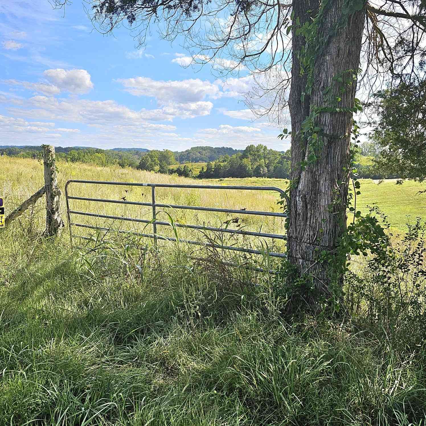 Allen Bend Rd, Smithville, Tennessee image 8