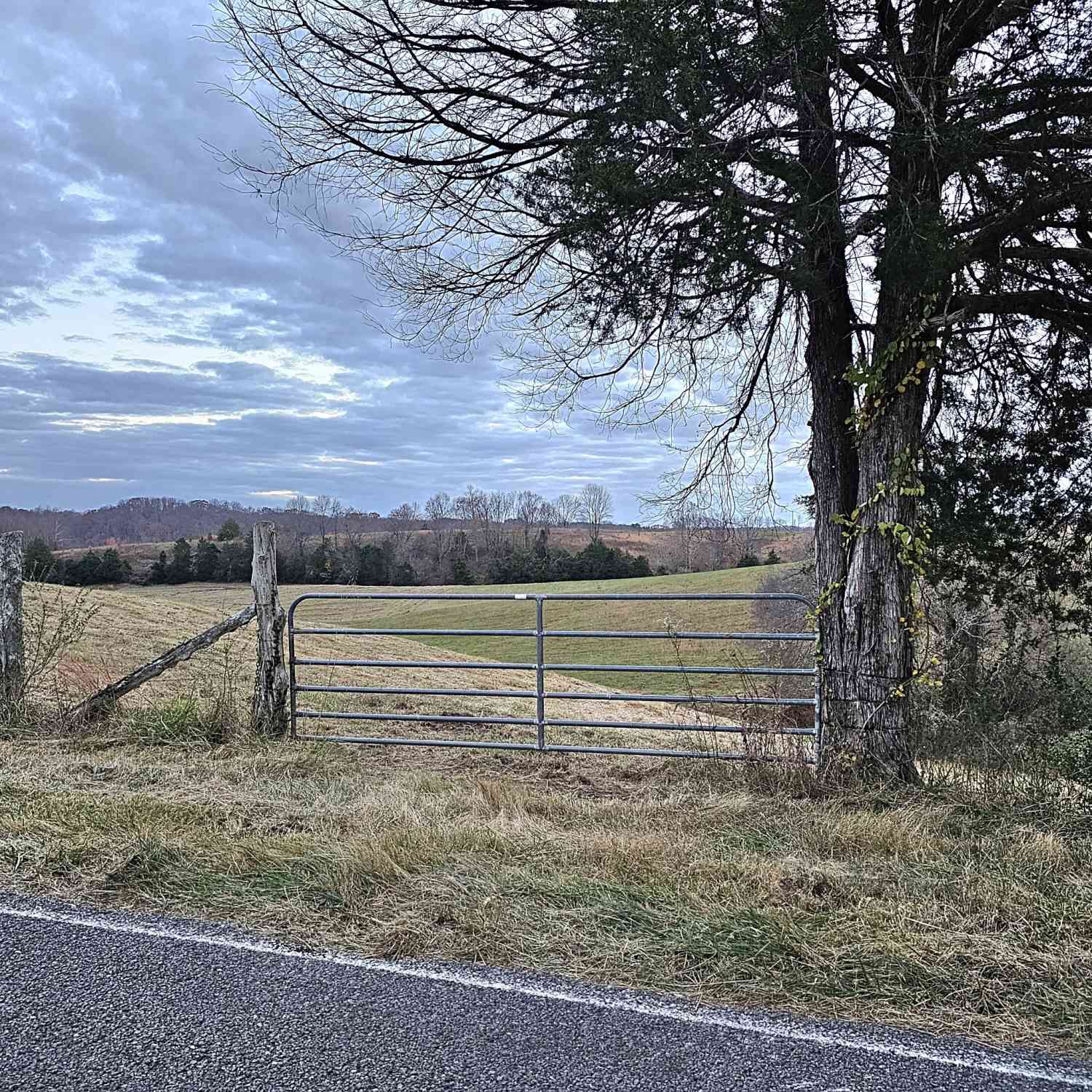 Allen Bend Rd, Smithville, Tennessee image 13