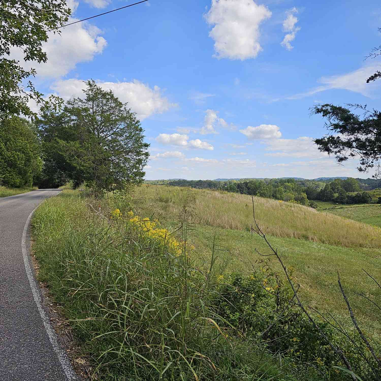 Allen Bend Rd, Smithville, Tennessee image 7