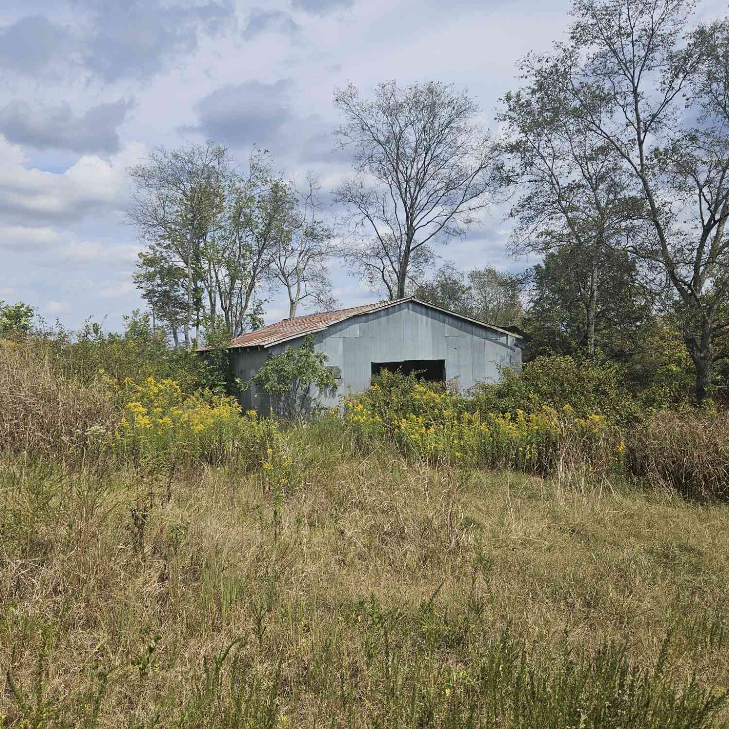 Gideon Rd, Greenbrier, Tennessee image 6