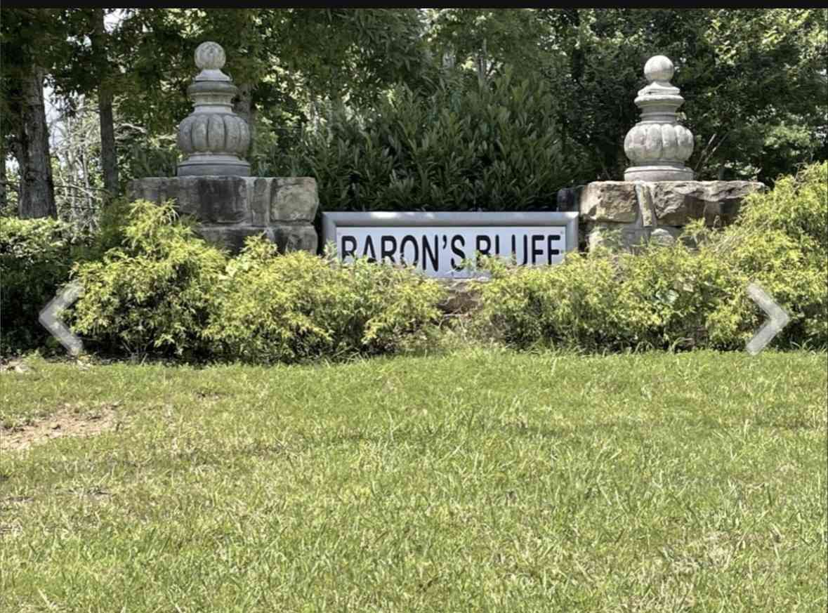 Barons Bluff Rd, Smithville, Tennessee image 3