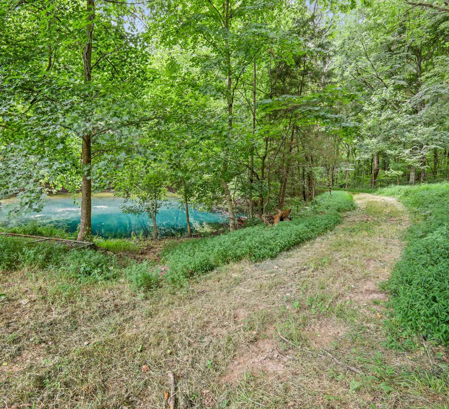 2 Jim Read Rd, Ashland City, Tennessee image 14