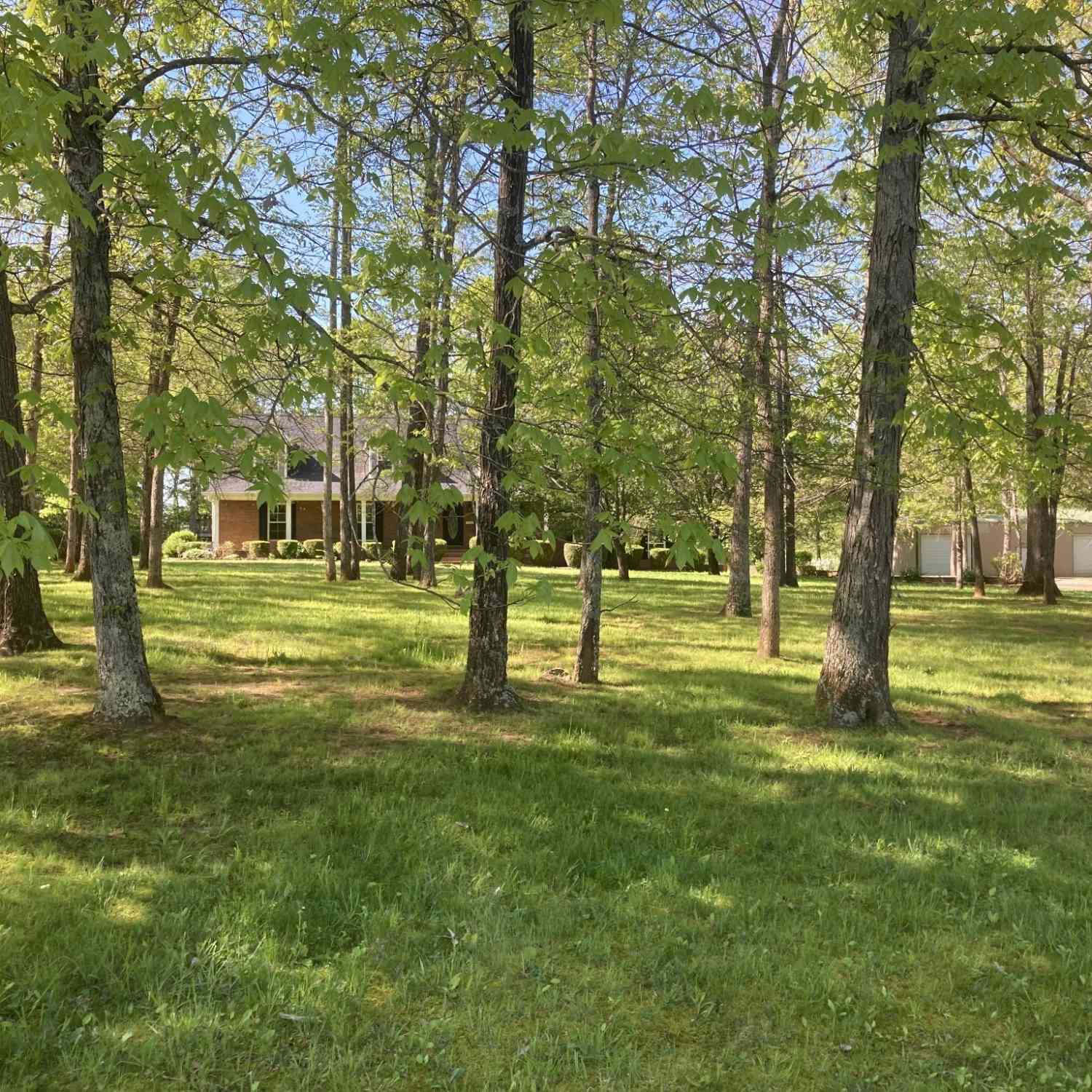 1319 Forrest Trace Dr, Lewisburg, Tennessee image 5