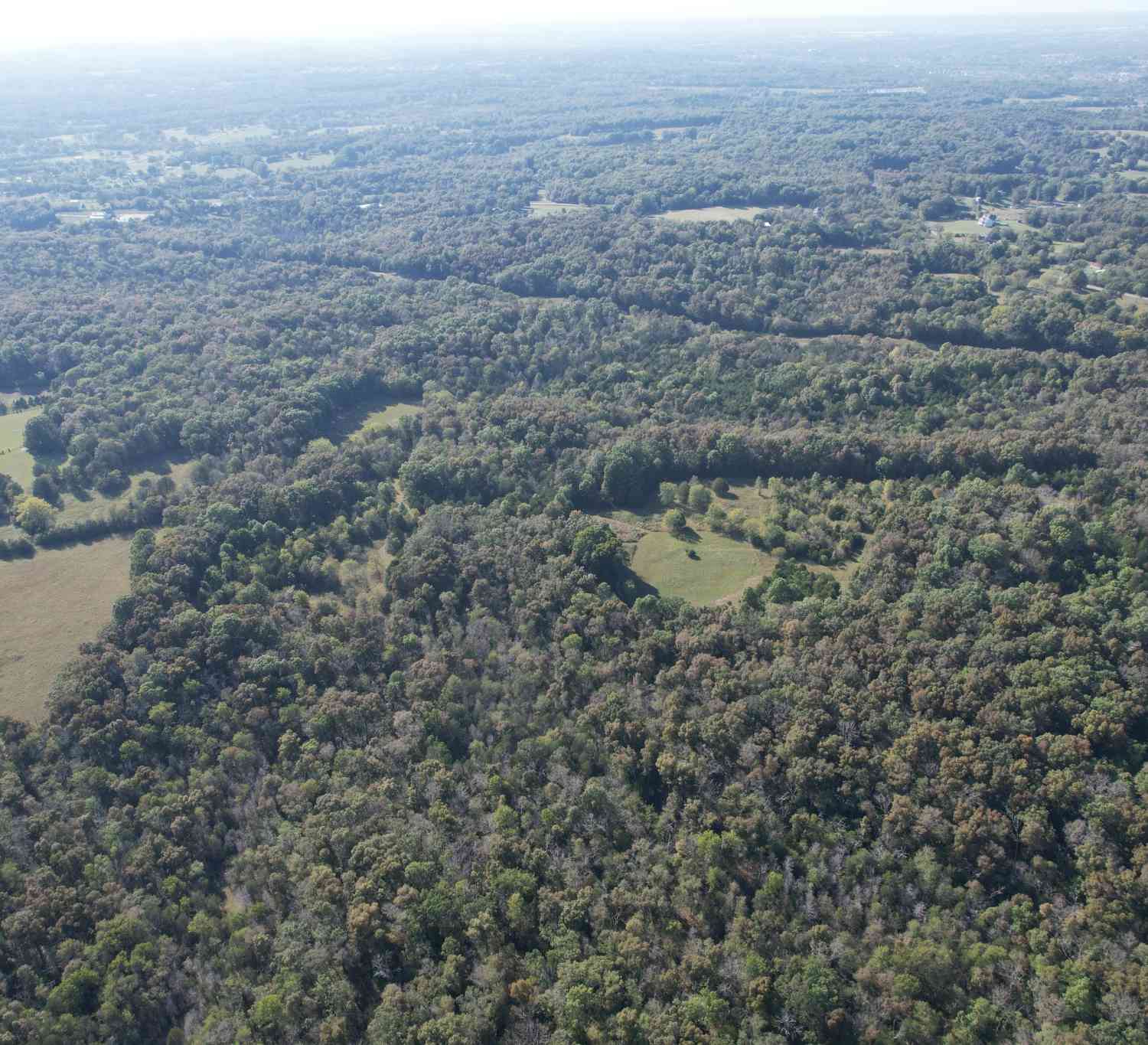 Highway 431, Columbia, Tennessee image 30