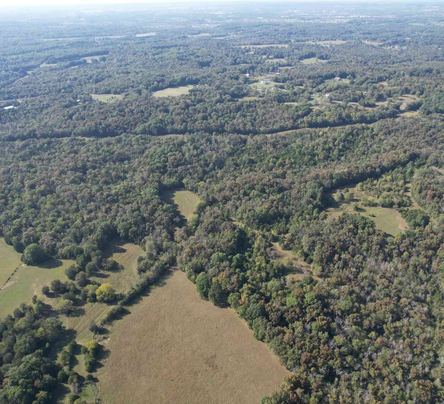 Highway 431, Columbia, Tennessee image 12