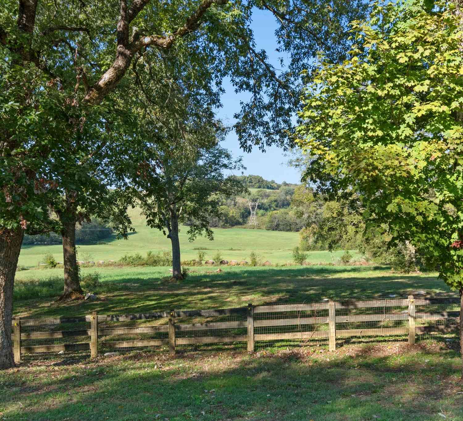 1936 Hobo Shaw Rd, Lewisburg, Tennessee image 6