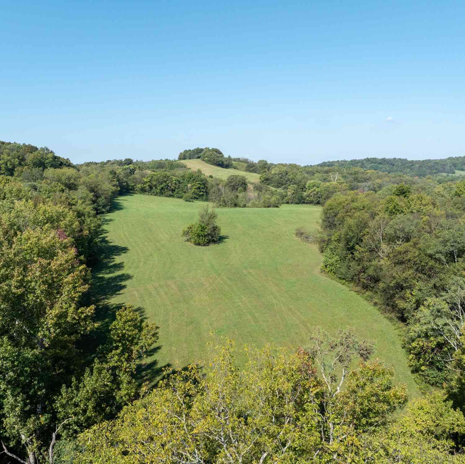 1936 Hobo Shaw Rd, Lewisburg, Tennessee image 39