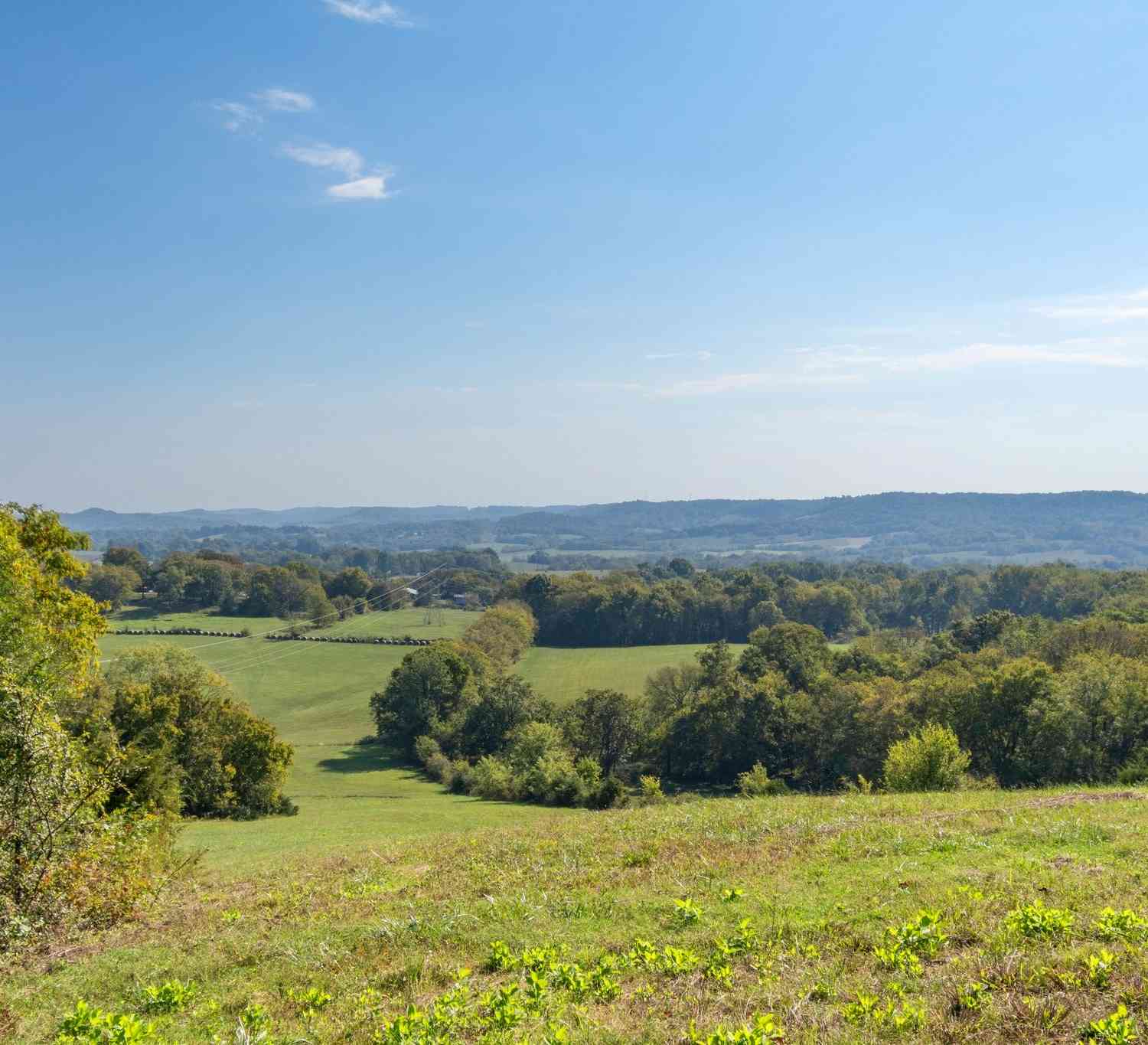 1936 Hobo Shaw Rd, Lewisburg, Tennessee image 29