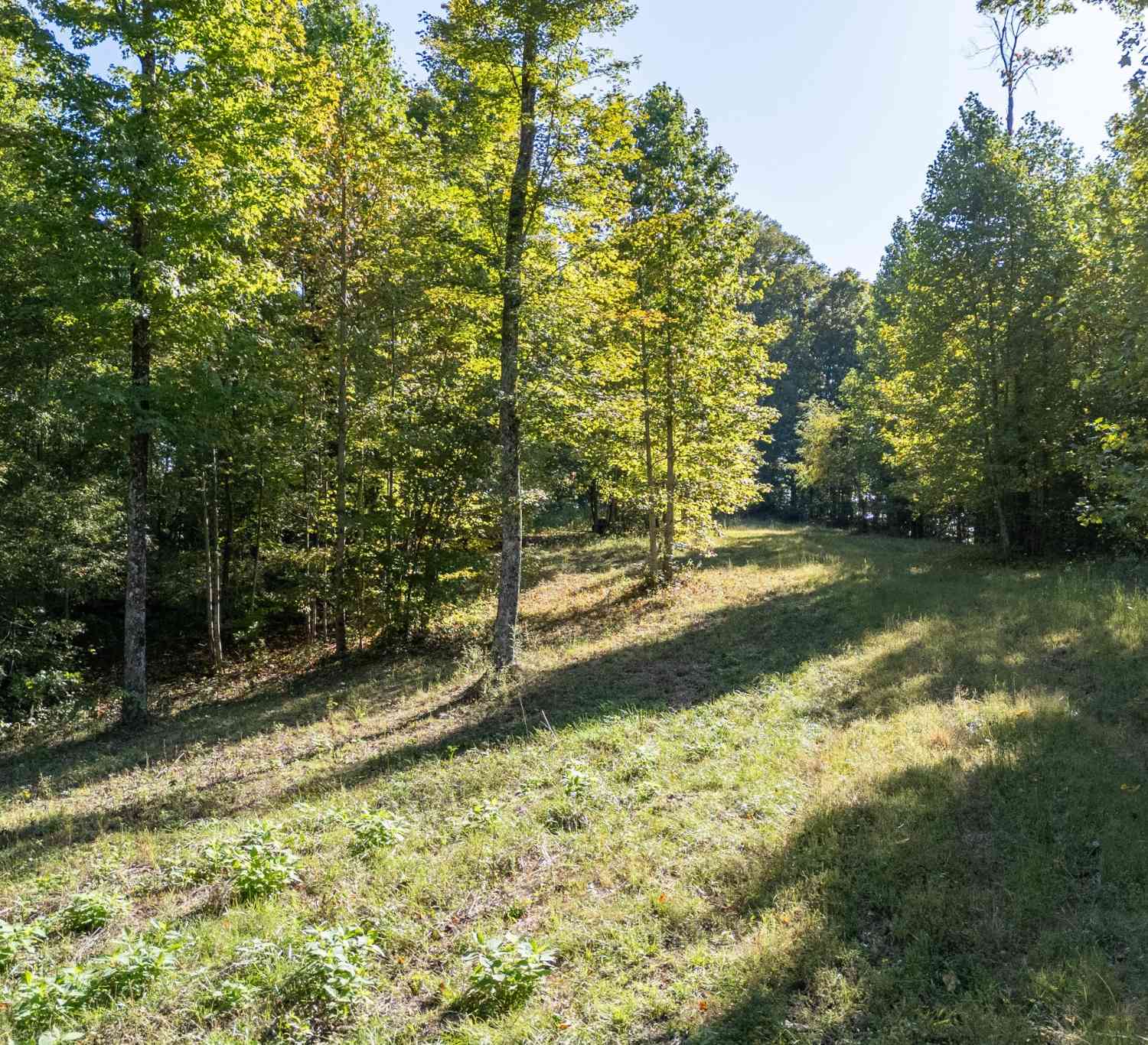 35 White Oak Flatt Rd, Sparta, Tennessee image 6