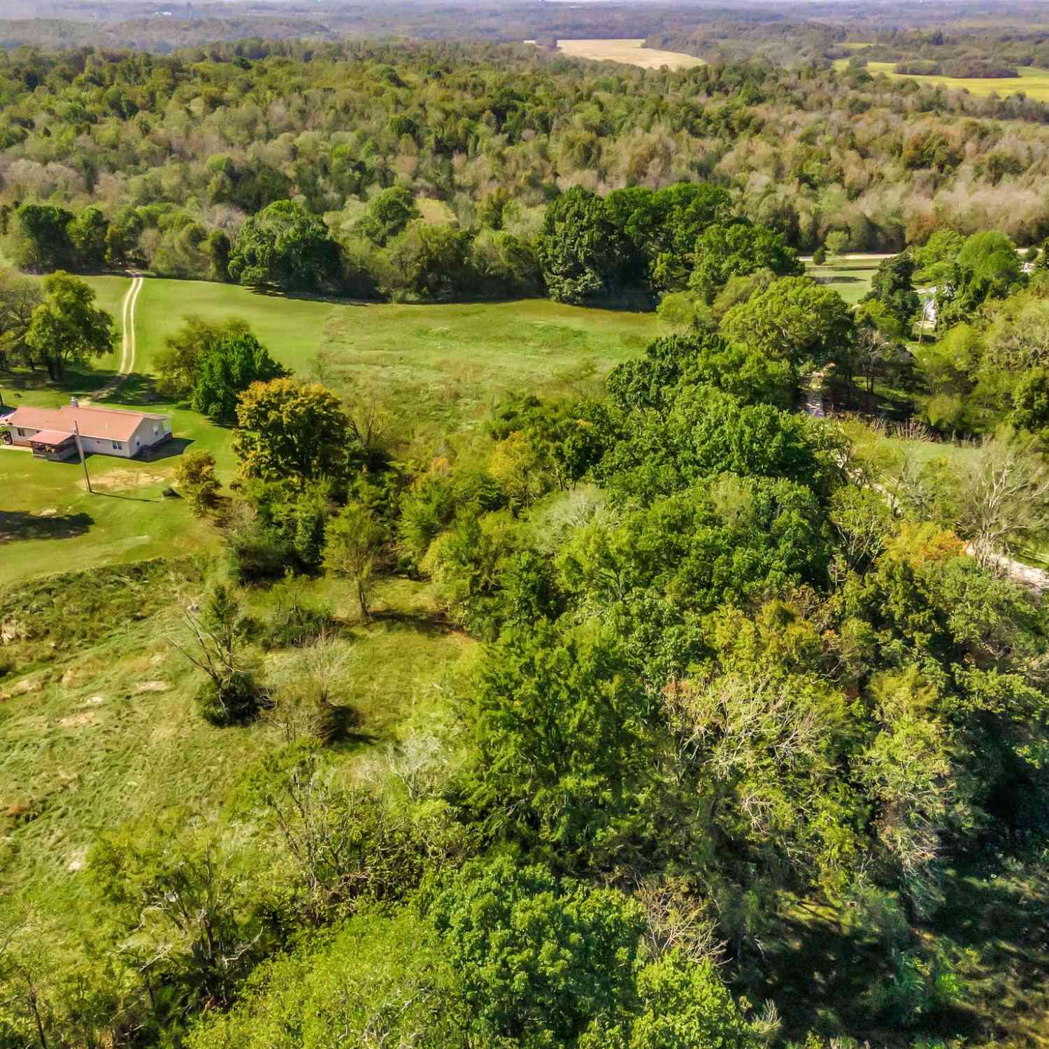 Rieves Bend Rd, Columbia, Tennessee image 17