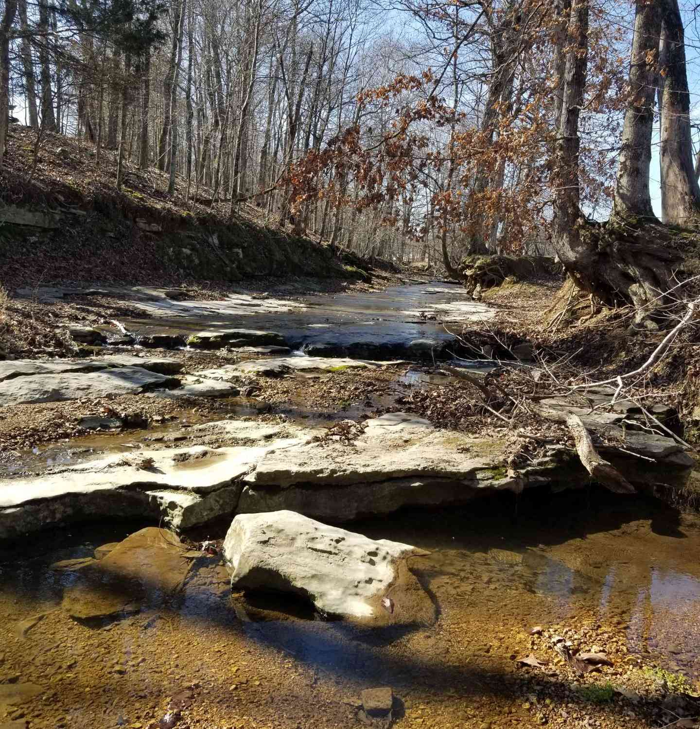 Indian Creek Road, Cumberland Furnace, Tennessee image 3