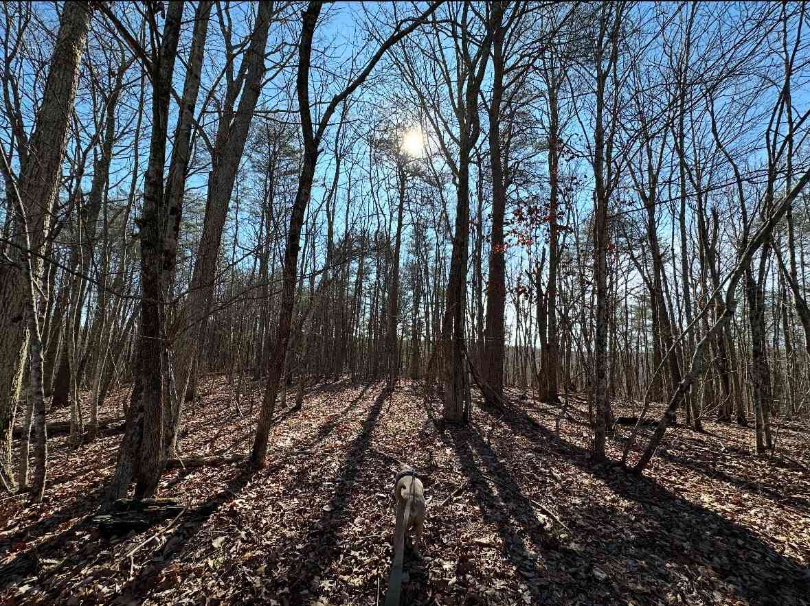 Middle Ridge Road, Beersheba Springs, Tennessee image 4