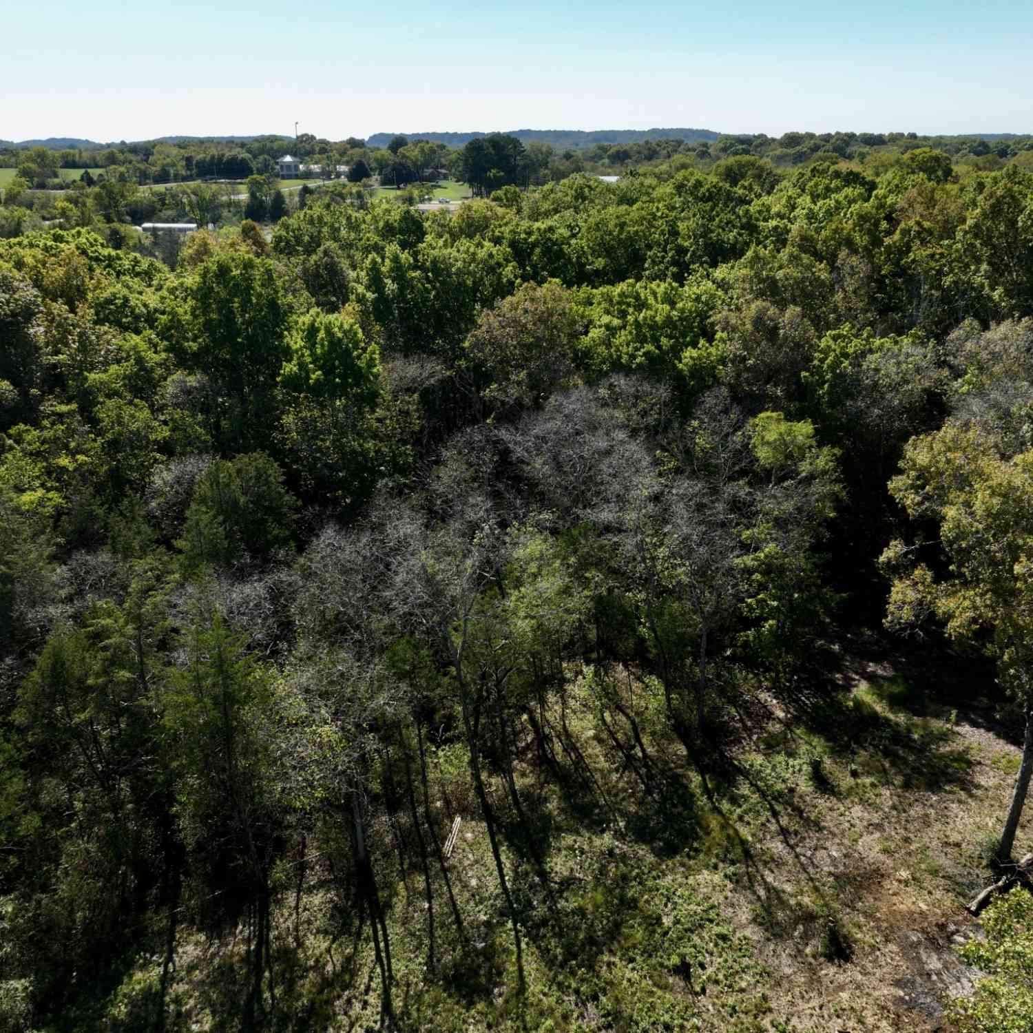 Oak Lane, Columbia, Tennessee image 6