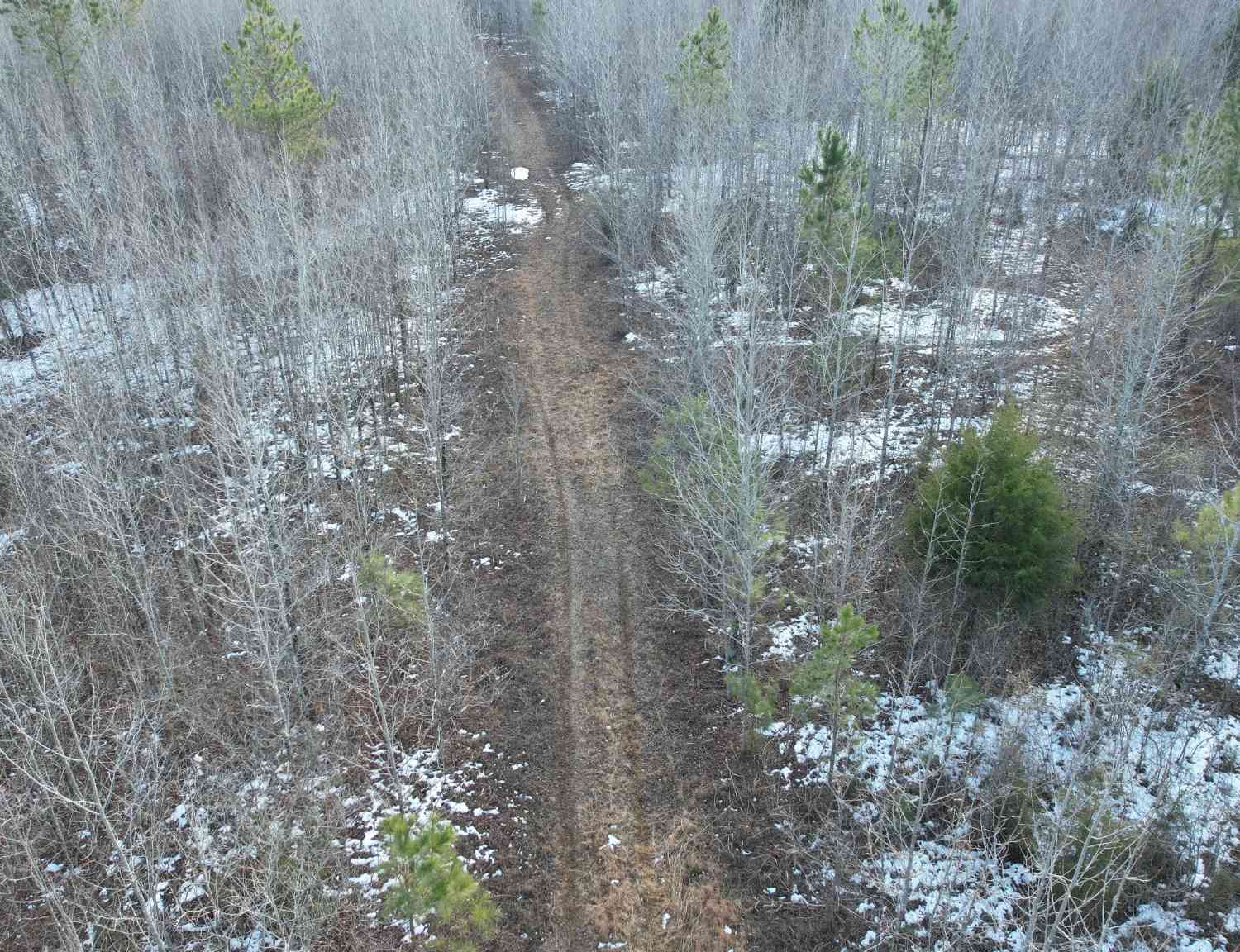 Cook Rd, Iron City, Tennessee image 6