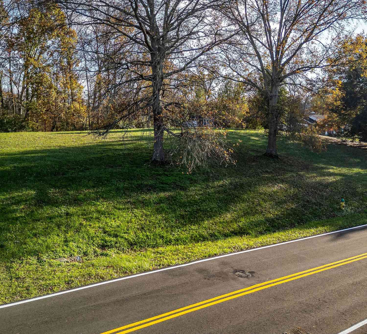 Indian Mound Dr, McMinnville, Tennessee image 8