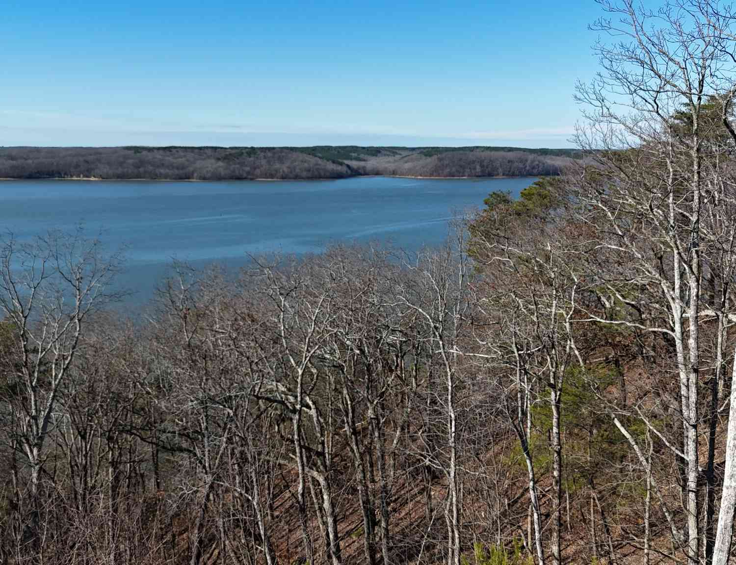 Float Drive, Waverly, Tennessee image 30