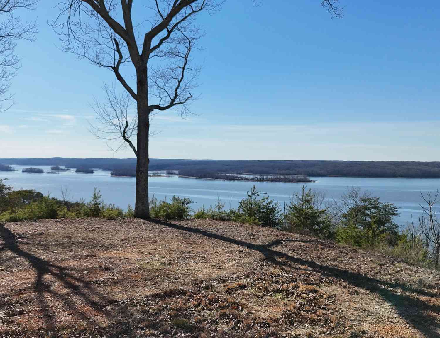 Float Drive, Waverly, Tennessee image 33