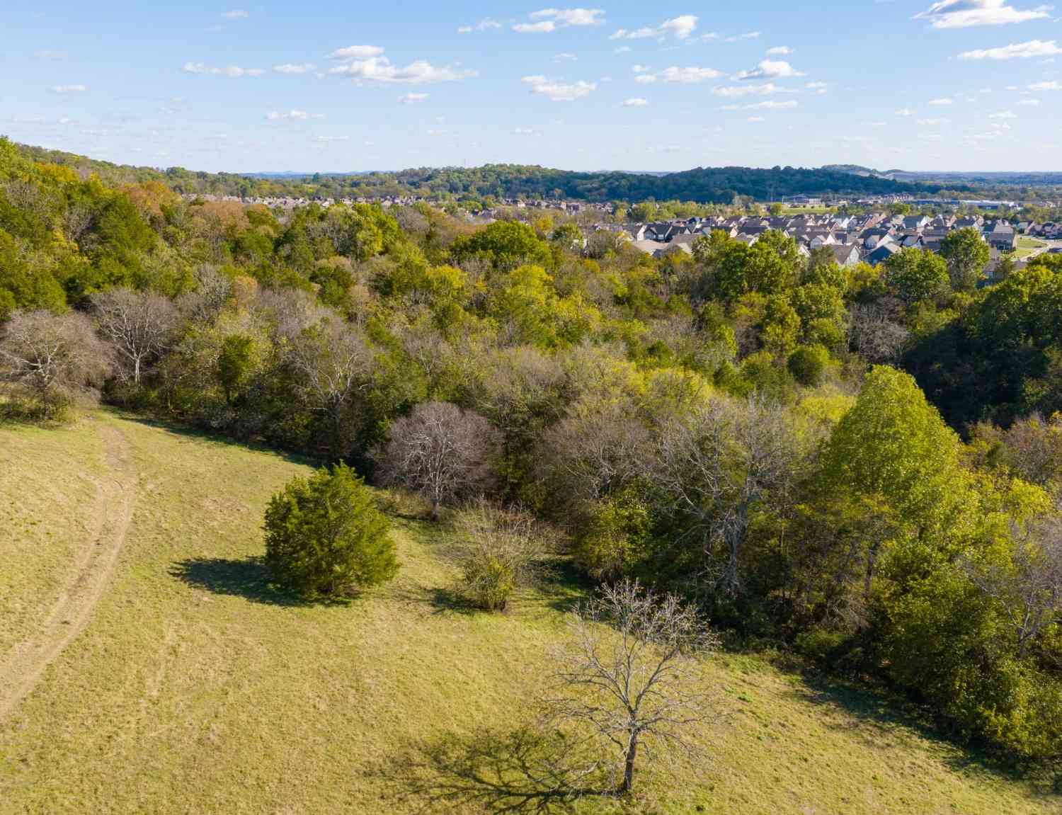 2045 Liberty Ln, Gallatin, Tennessee image 9