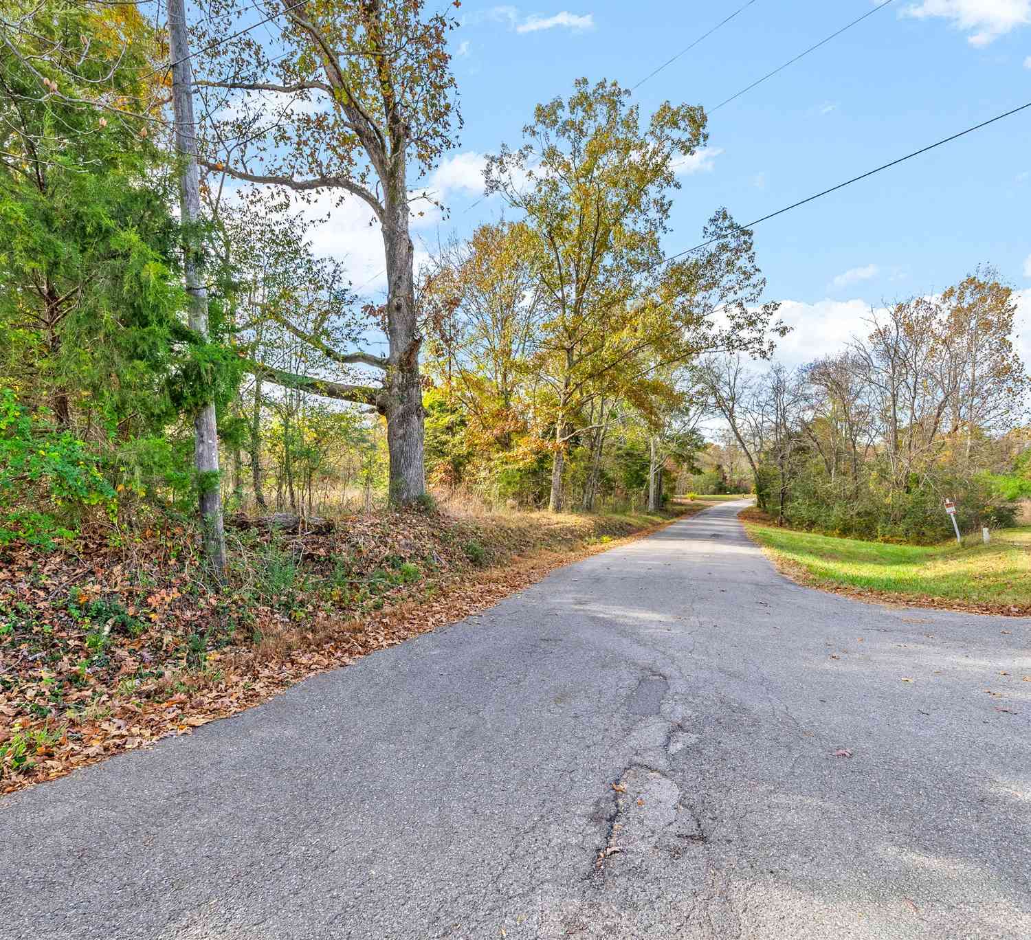 1402 Moore Lane, Southside, Tennessee image 8