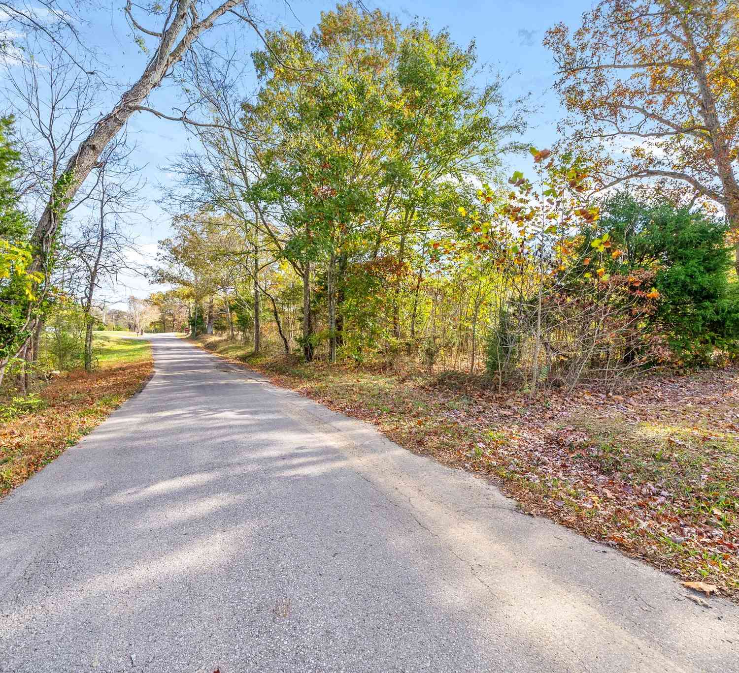 1402 Moore Lane, Southside, Tennessee image 9