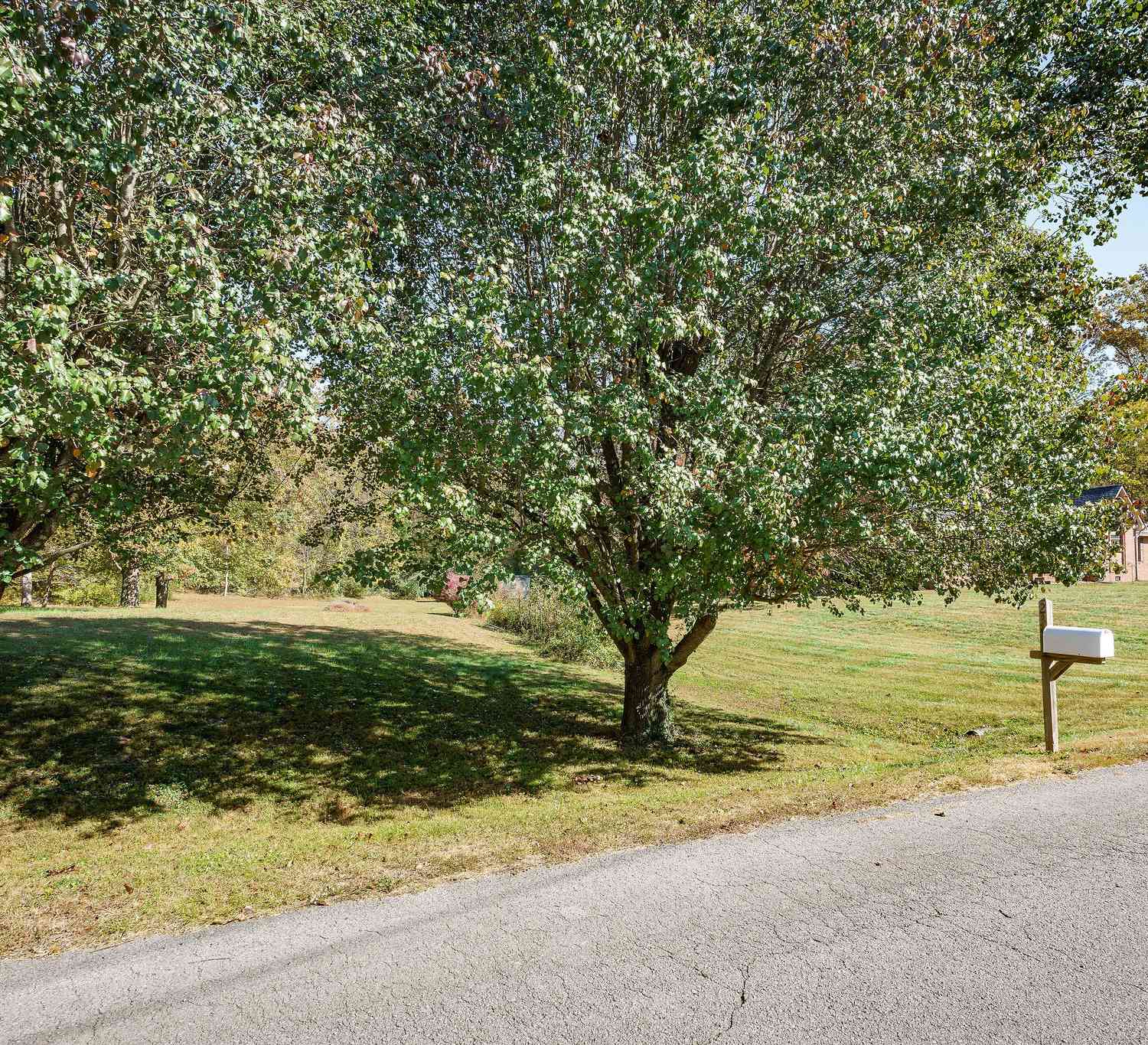 236 Stratford Dr, Cookeville, Tennessee image 49