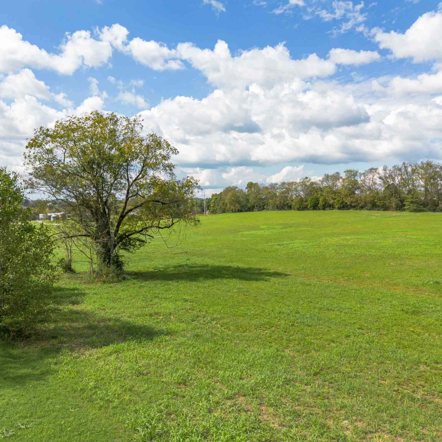 Hicks Ln, Columbia, Tennessee image 8