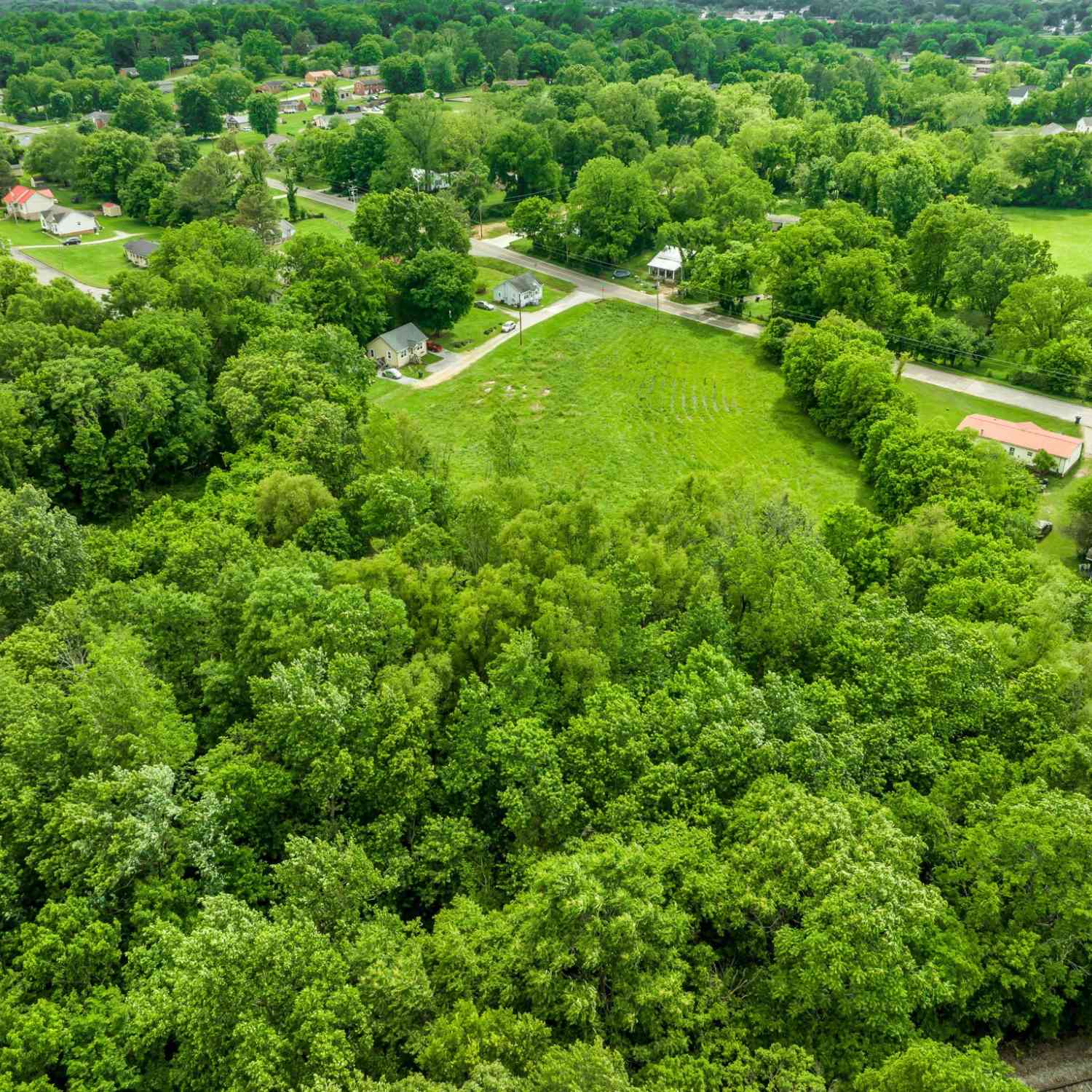 Moorseville Pike, Columbia, Tennessee image 17