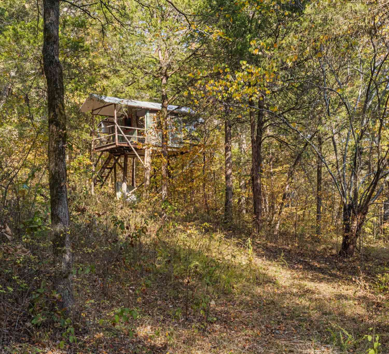 1313 Iron Bridge Rd, Columbia, Tennessee image 8