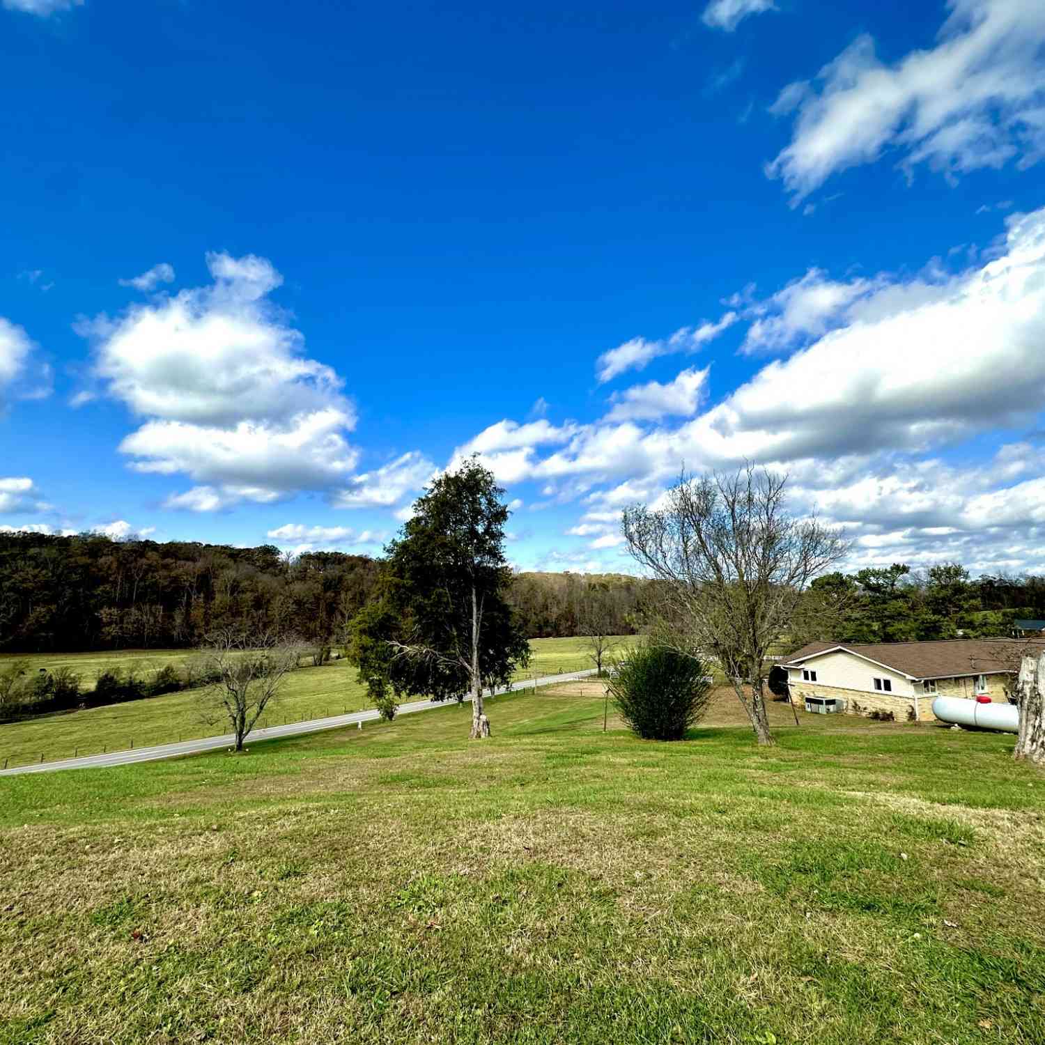 4966 Highway 13, Erin, Tennessee image 43