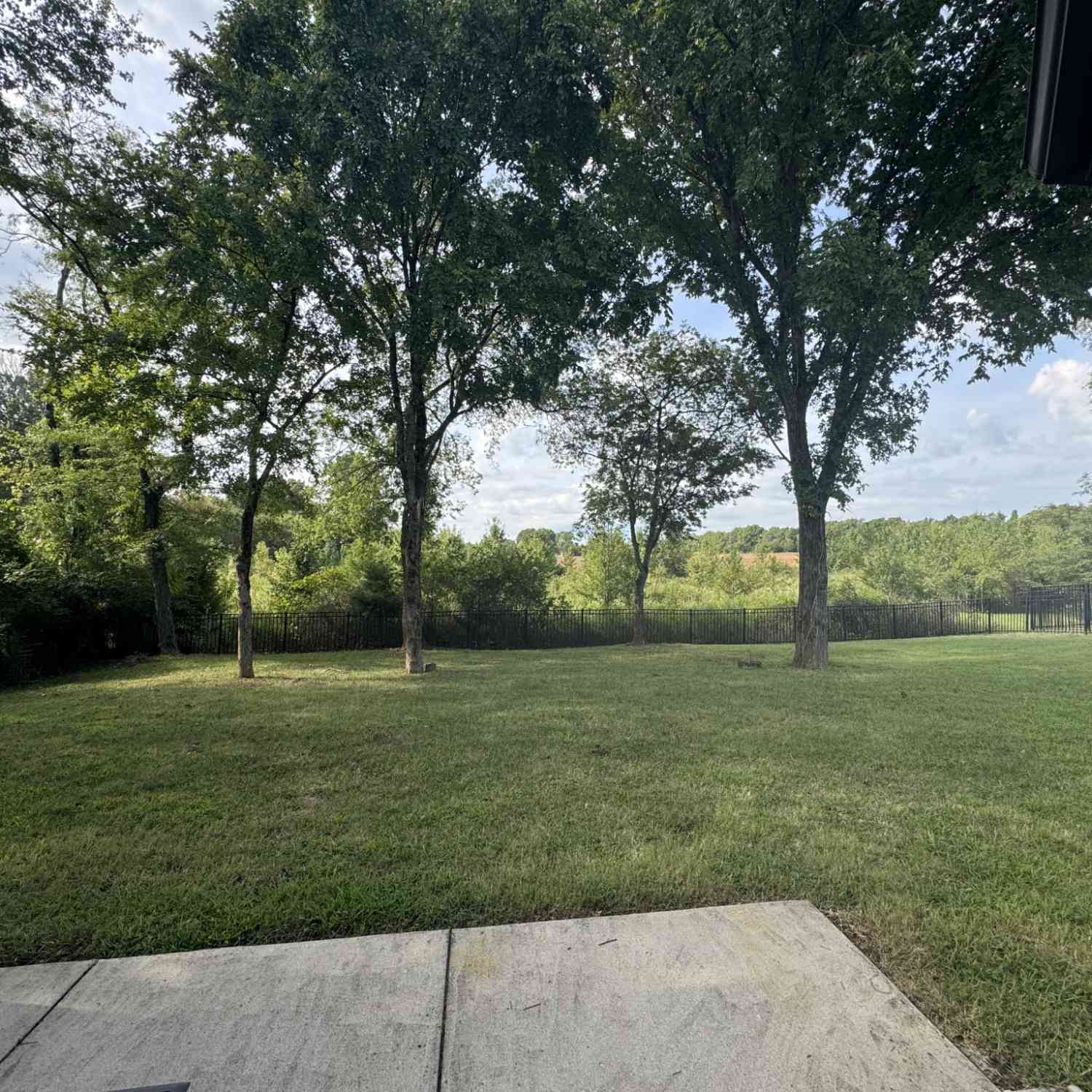 3213 Shady Forest Dr, Murfreesboro, Tennessee image 20