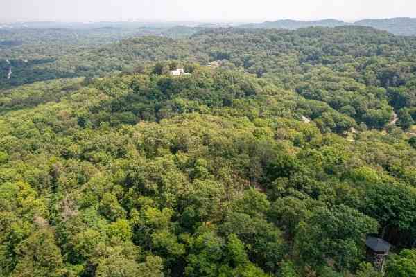 3 Saint James Place, Nashville, Tennessee image 5