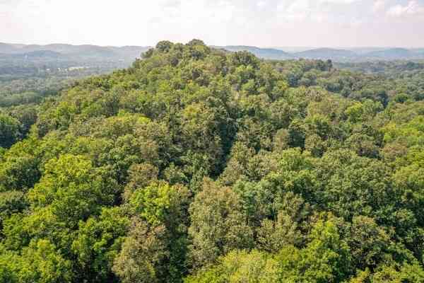 3 Saint James Place, Nashville, Tennessee image 23
