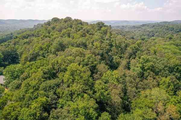3 Saint James Place, Nashville, Tennessee image 18