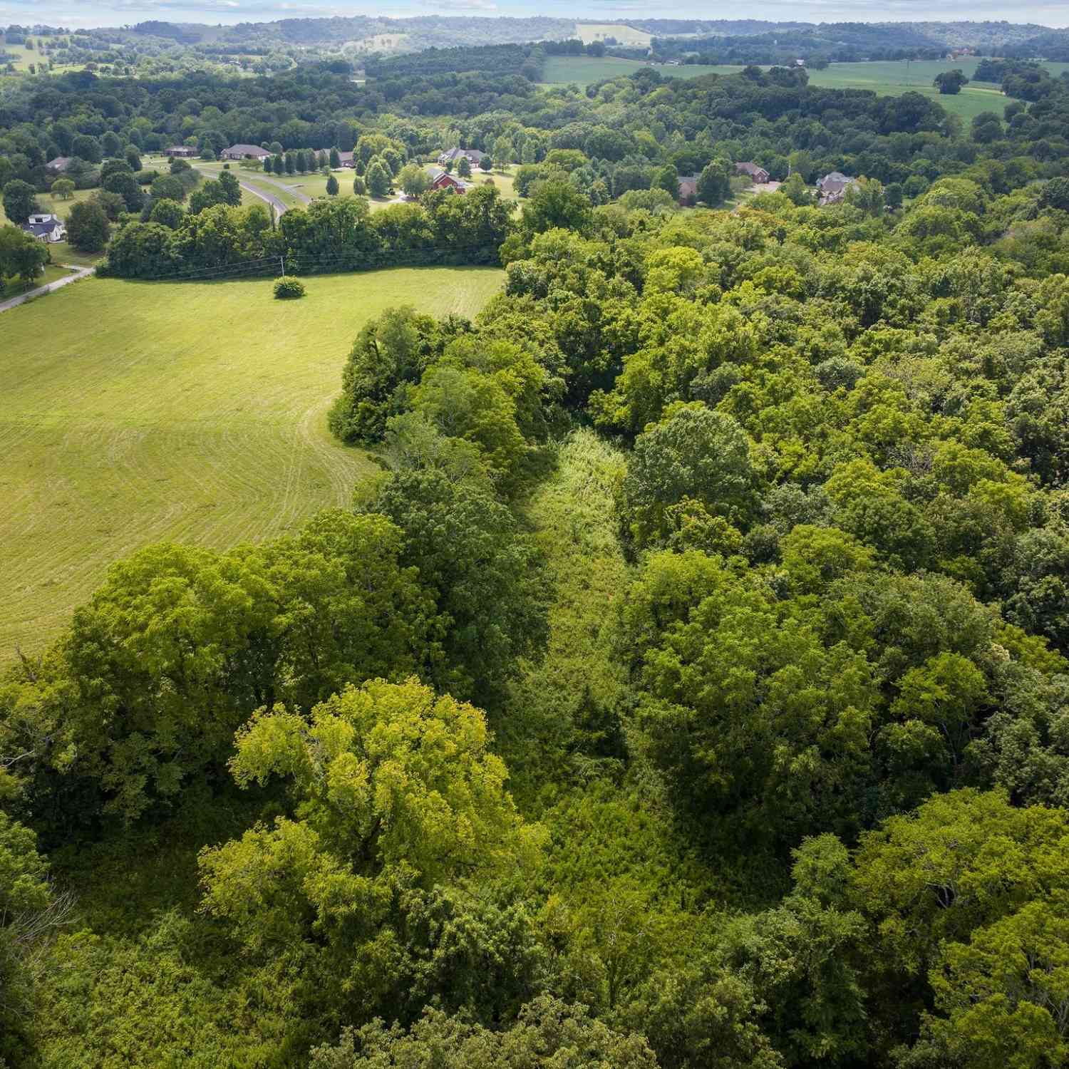 Frye Rd, Columbia, Tennessee image 9