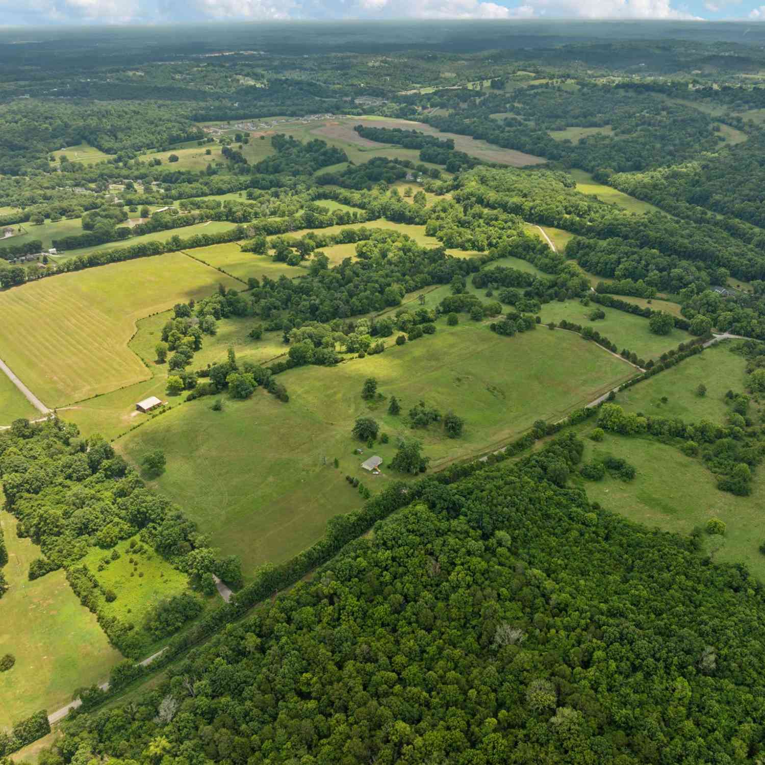 7 Double Branch, Columbia, Tennessee image 8