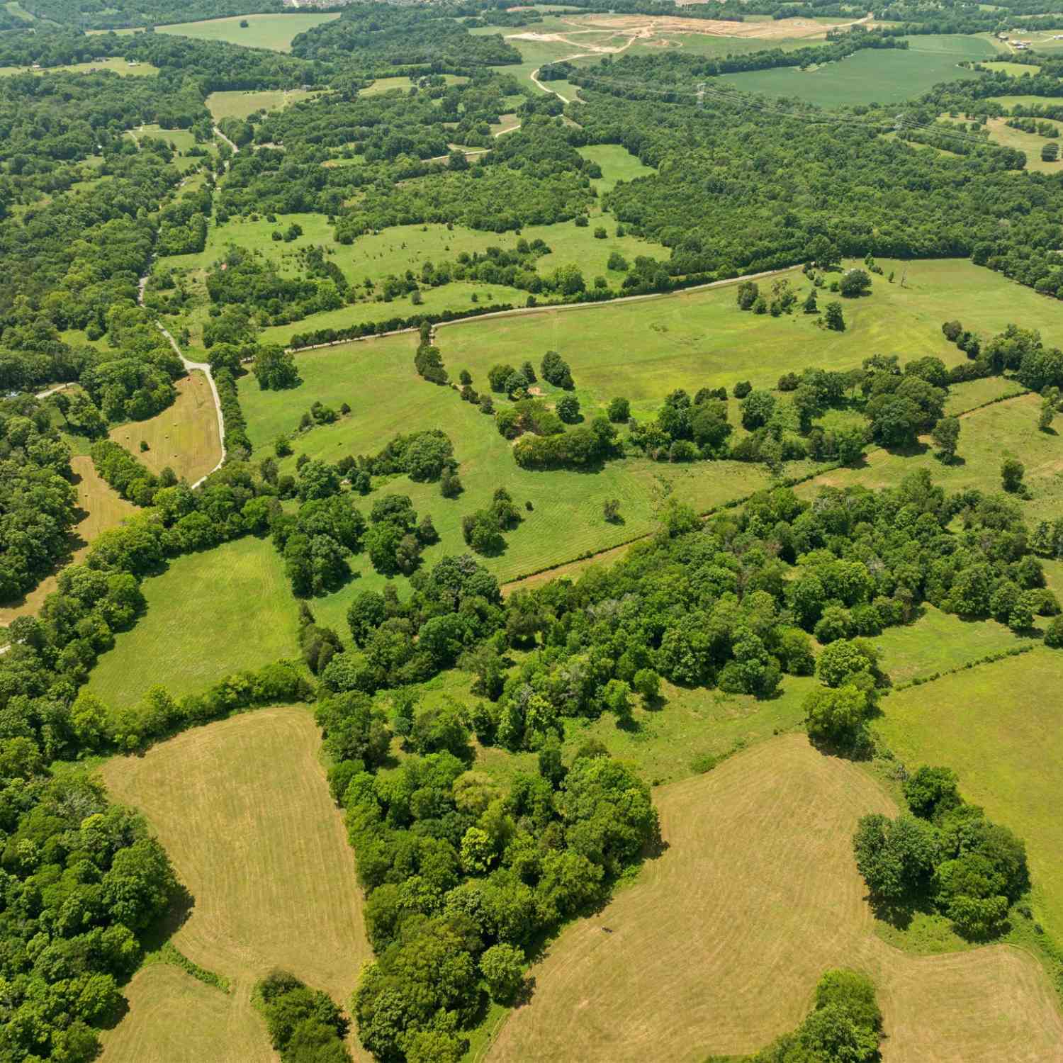 7 Double Branch, Columbia, Tennessee image 7