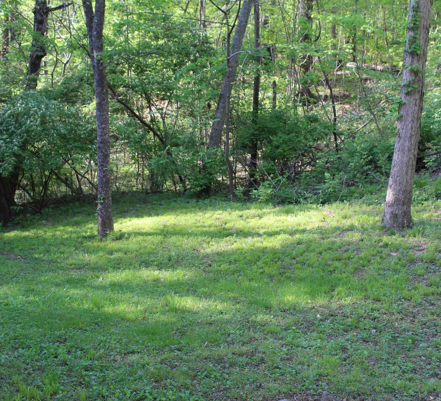 3804 Lakeridge Run, Nashville, Tennessee image 36