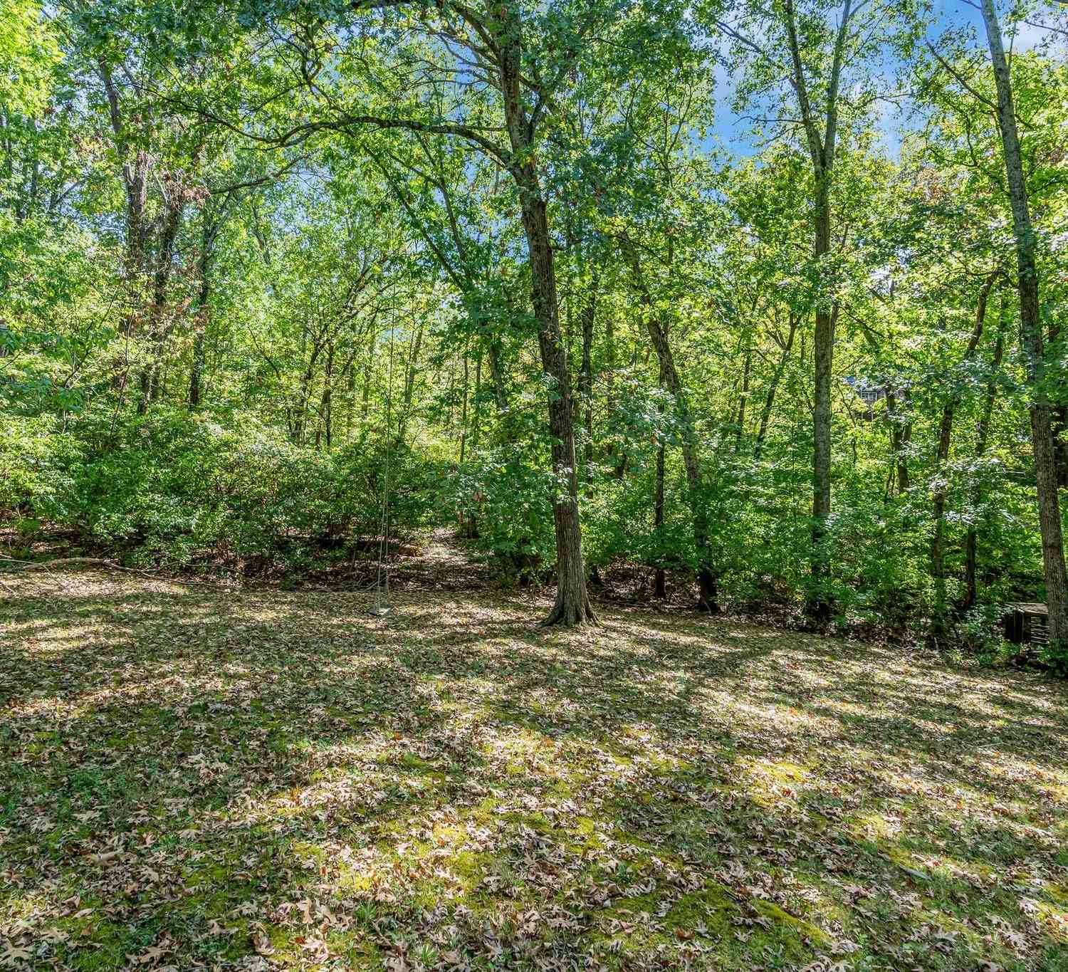 811 Russleo Dr, Nashville, Tennessee image 29