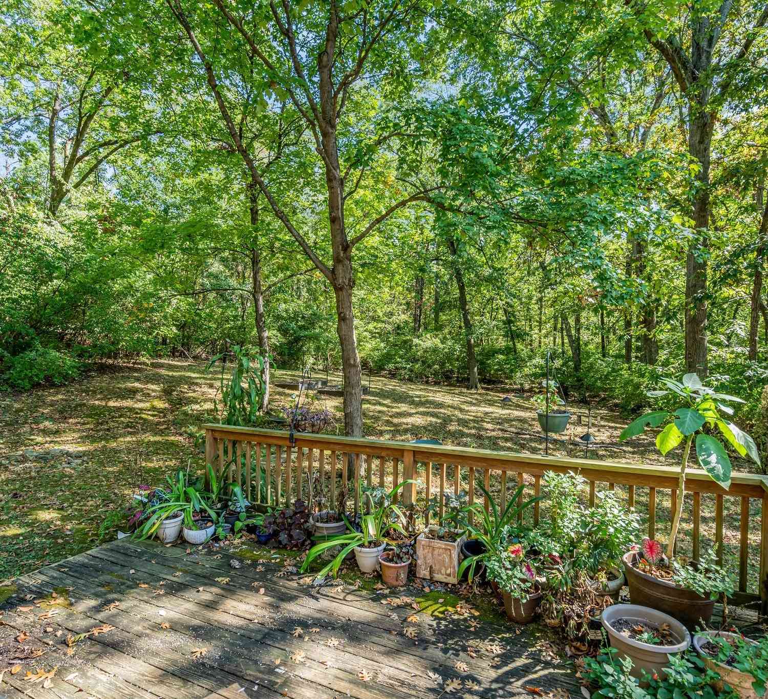 811 Russleo Dr, Nashville, Tennessee image 23