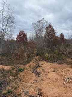 14 Copper Leaf Trail, Linden, Tennessee image 2