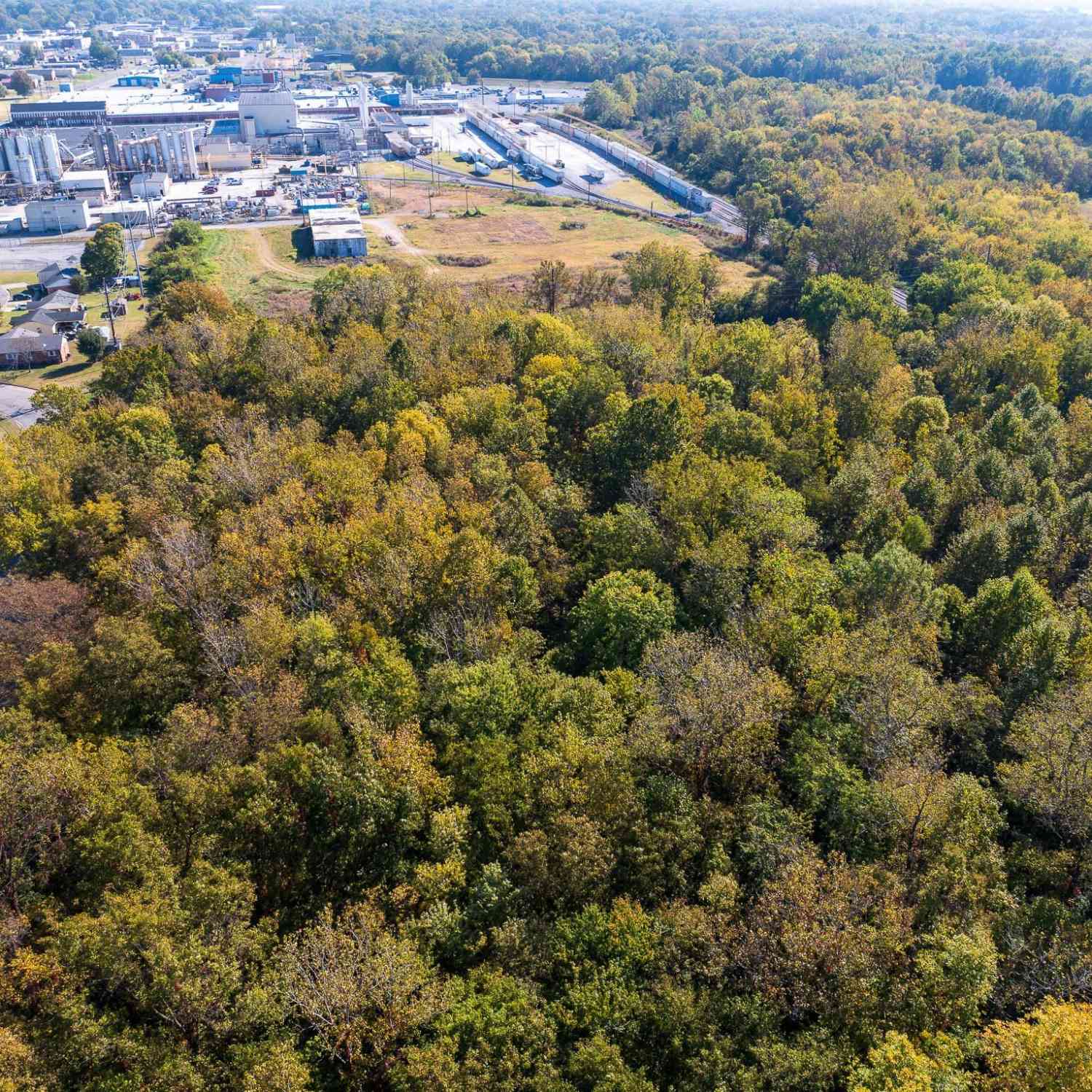 Meeks St, Dyersburg, Tennessee image 5