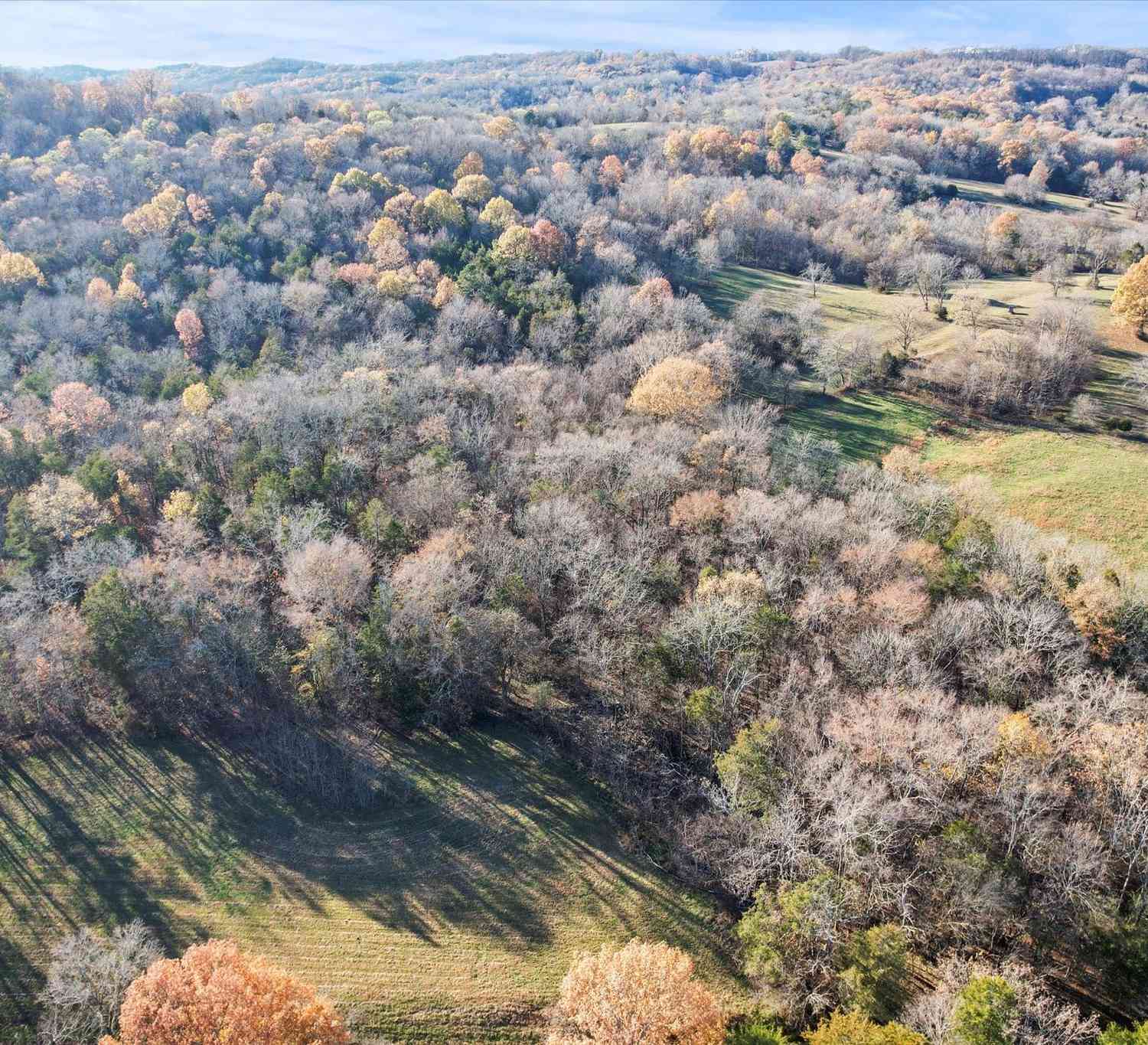 Old Stage Rd, Ardmore, Tennessee image 4