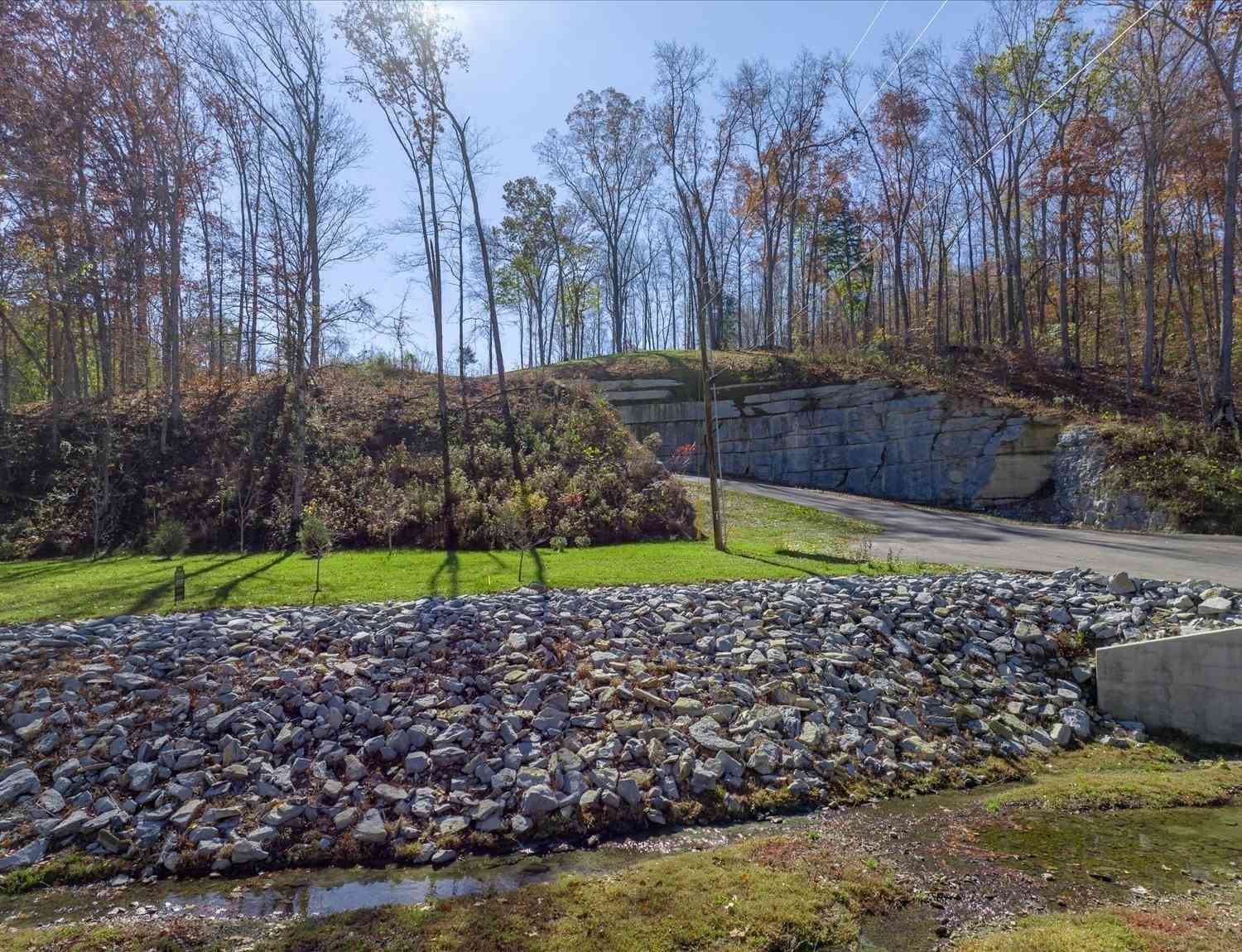 6049 Stone Cliff Lane Lot 5, Franklin, Tennessee image 9