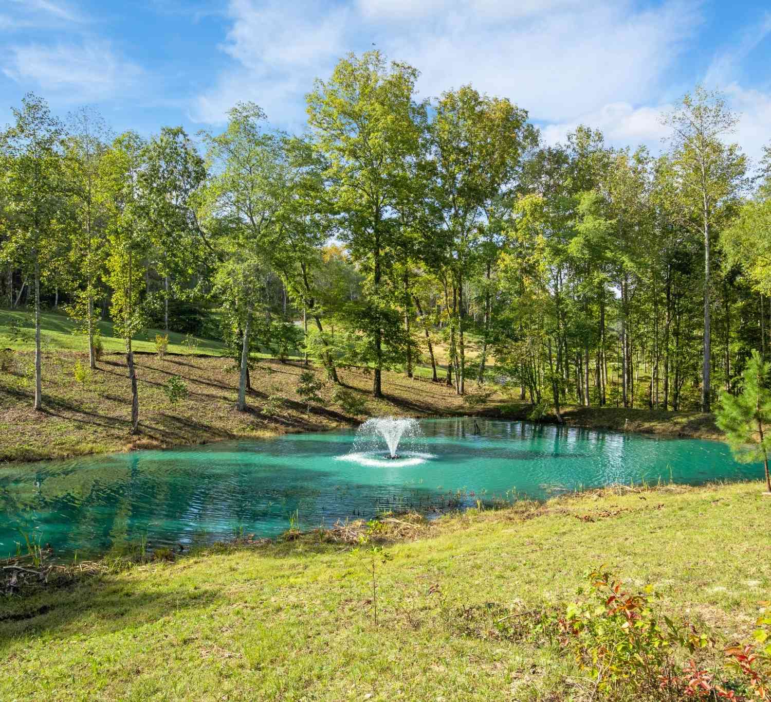 6049 Stone Cliff Lane Lot 5, Franklin, Tennessee image 5