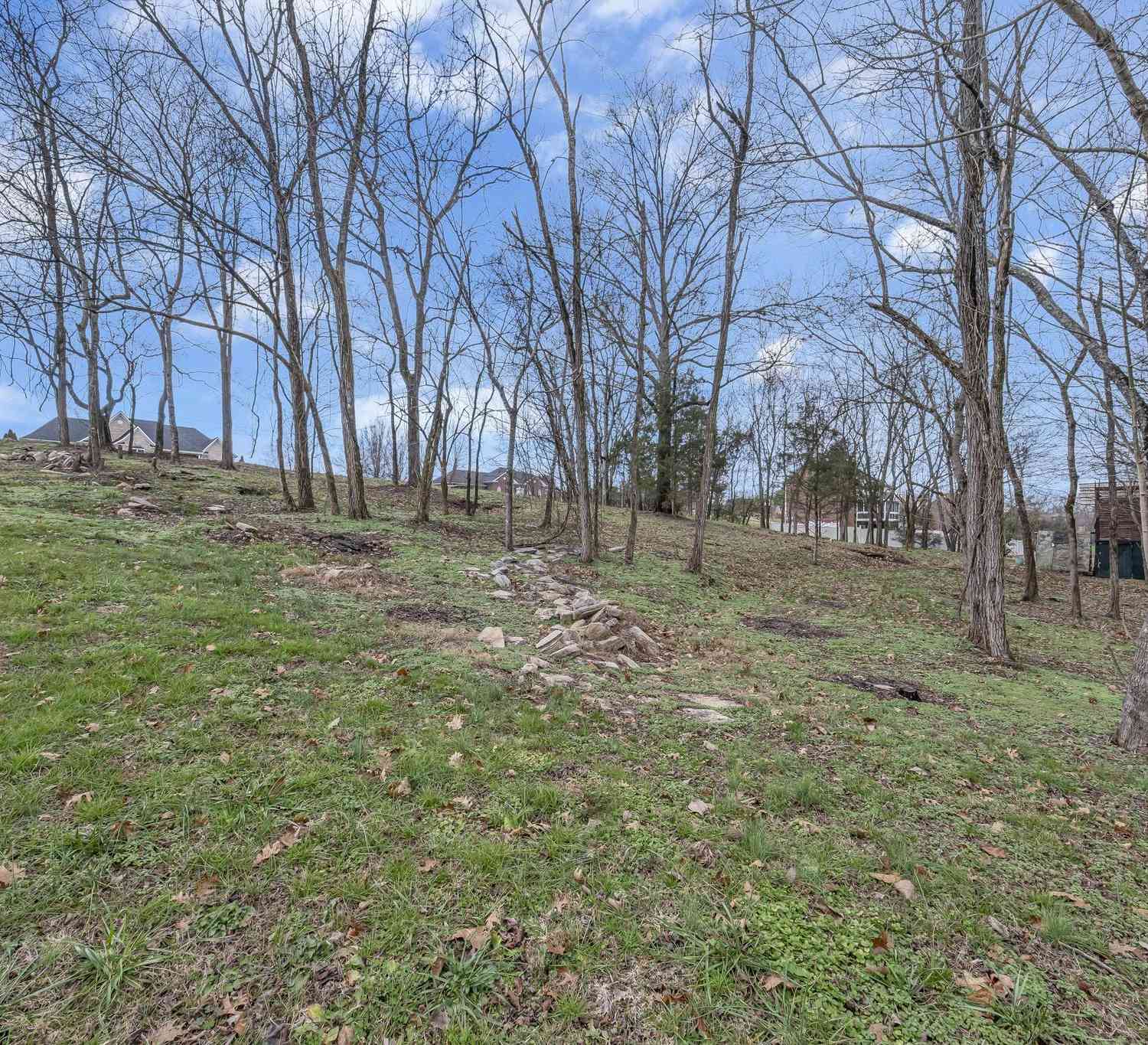 1400 Brook Dr, Columbia, Tennessee image 41